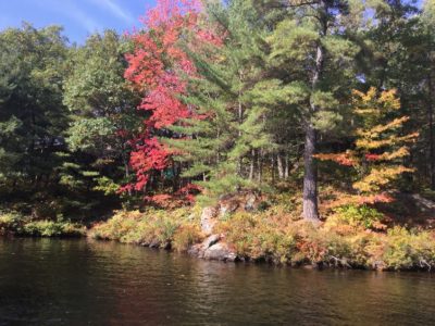 Algonquin Park