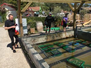 Oyster Store Bassins